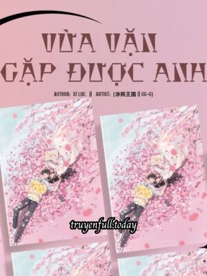 Vừa Vặn Gặp Được Anh - Xí Lục